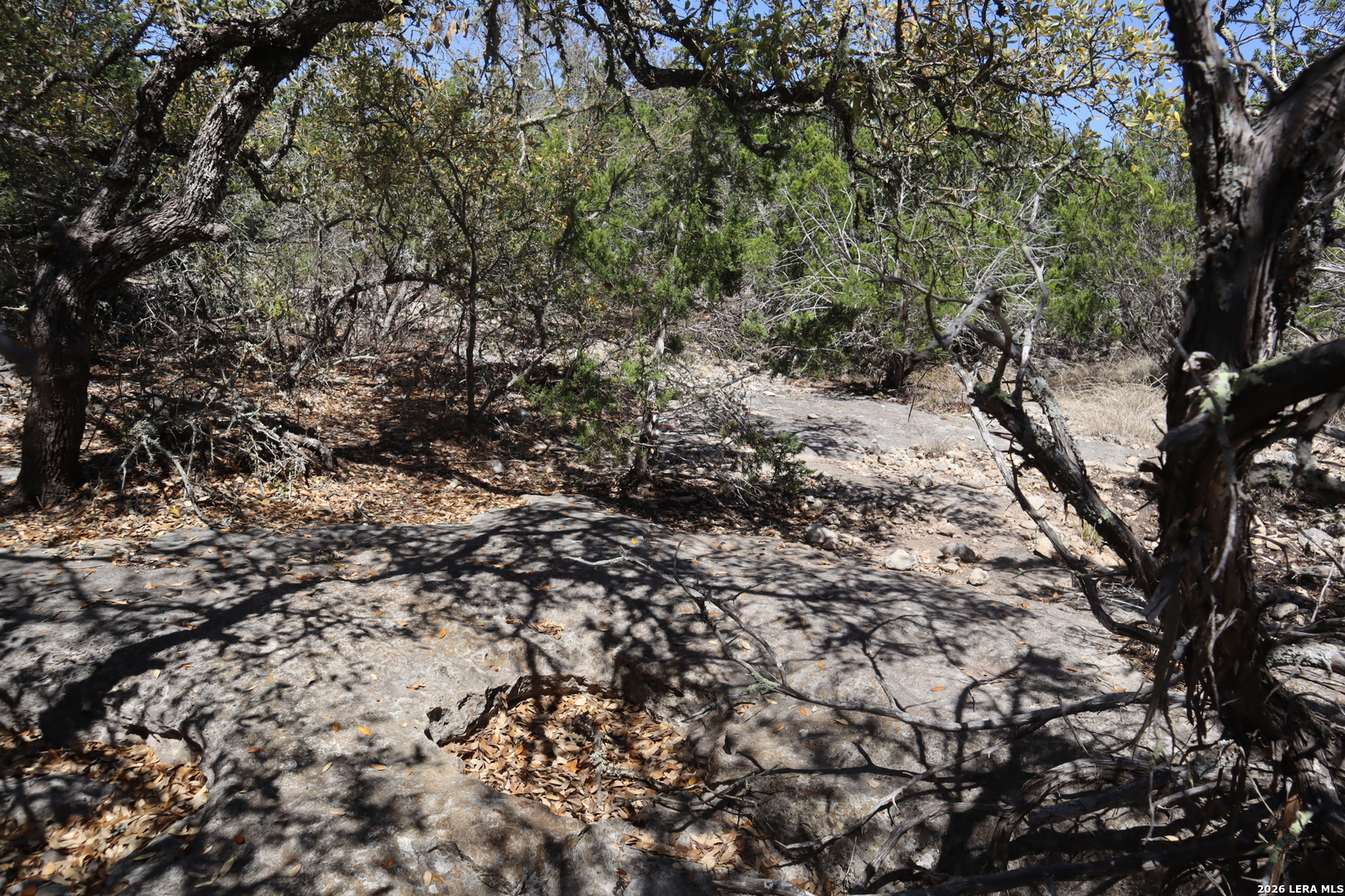 462 Schenk-witkowski Rocksprings TX 78880