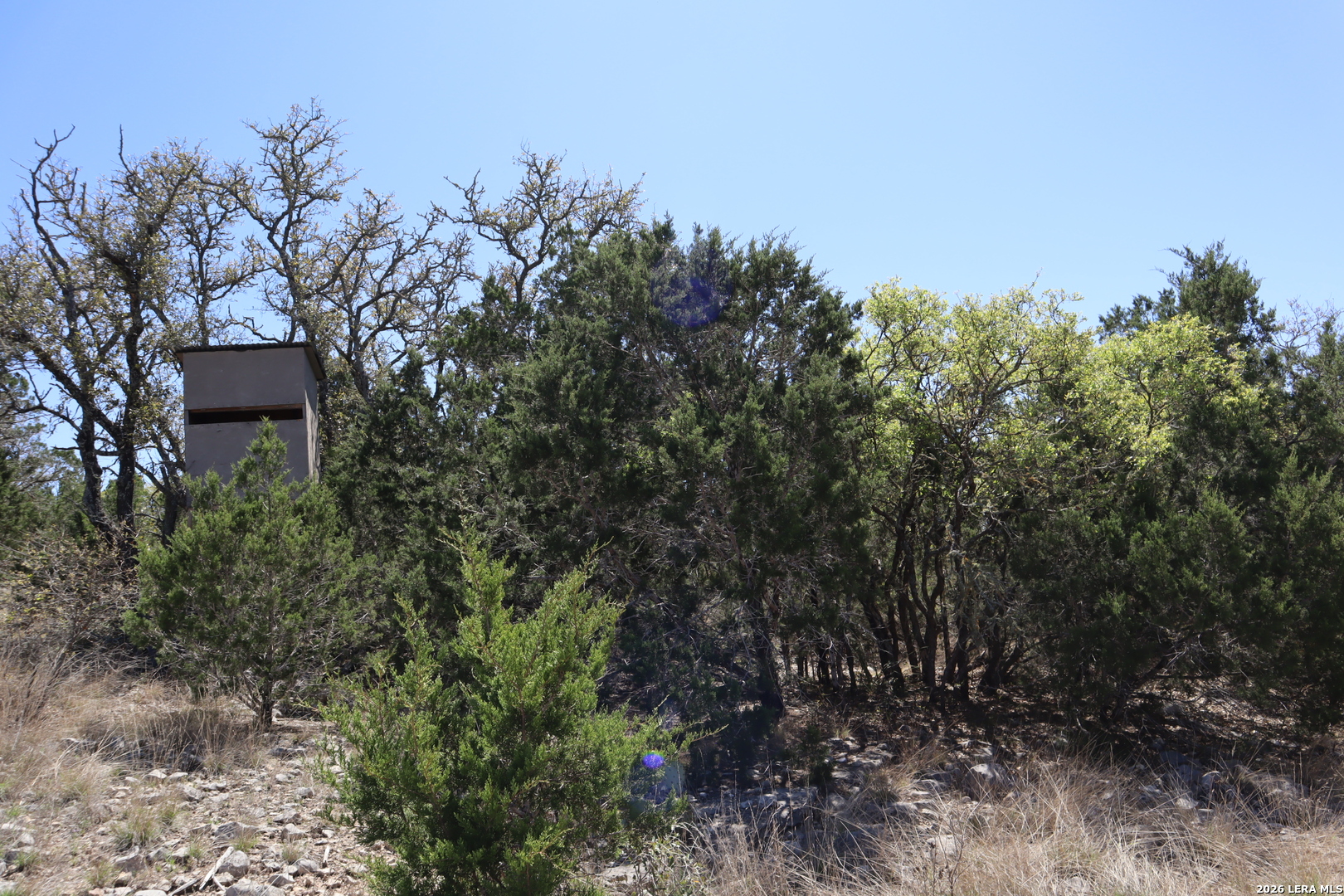 462 Schenk-witkowski Rocksprings TX 78880