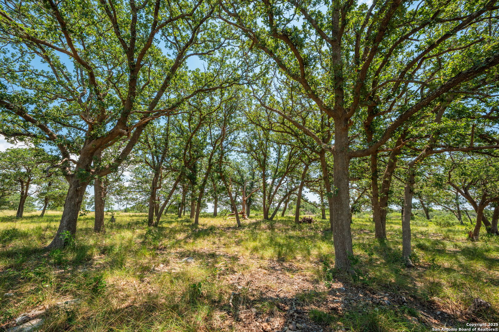 Tbd Highway 337 Leakey TX 78873