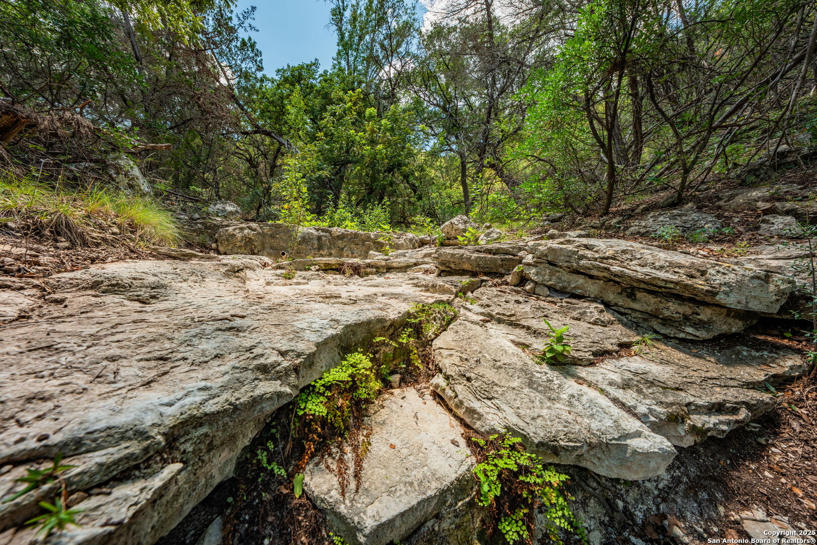 Tbd Highway 337 Leakey TX 78873
