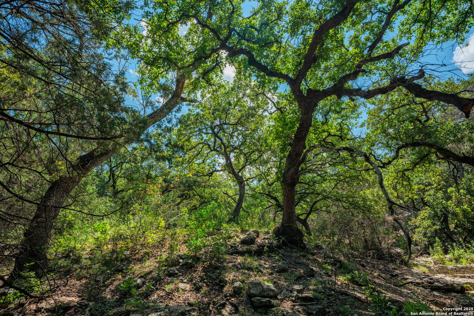 Tbd Highway 337 Leakey TX 78873
