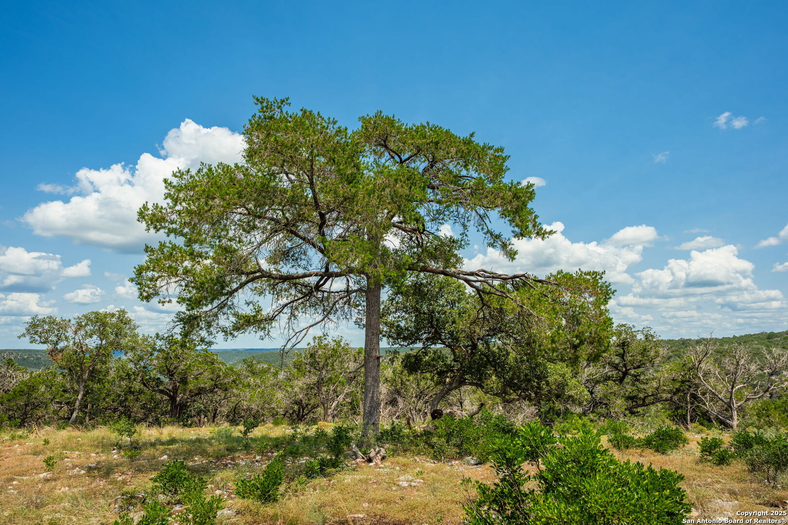 Tbd Highway 337 Leakey TX 78873