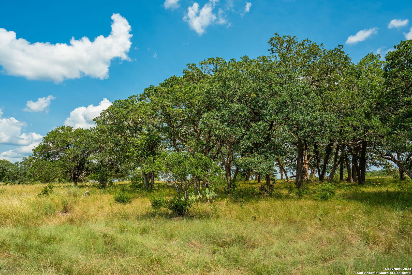 Tbd Highway 337 Leakey TX 78873