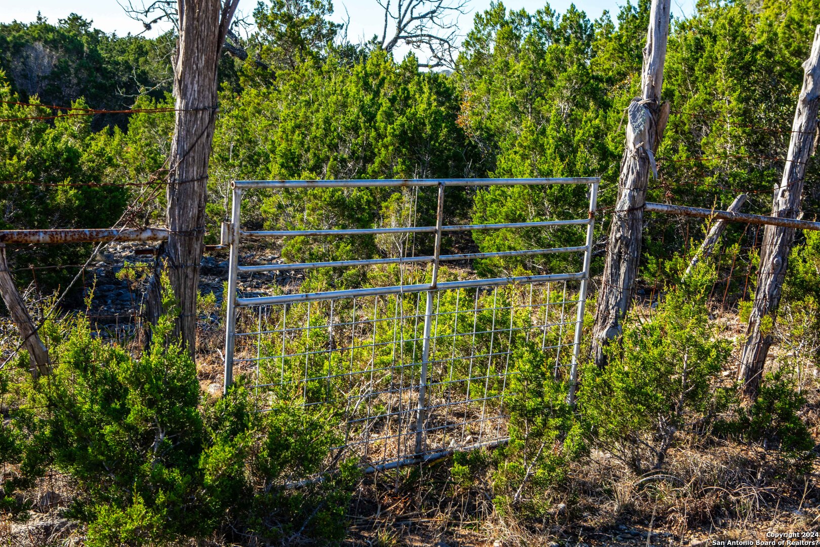 Tbd Hidden Valley Drive Pipe Creek TX 78063