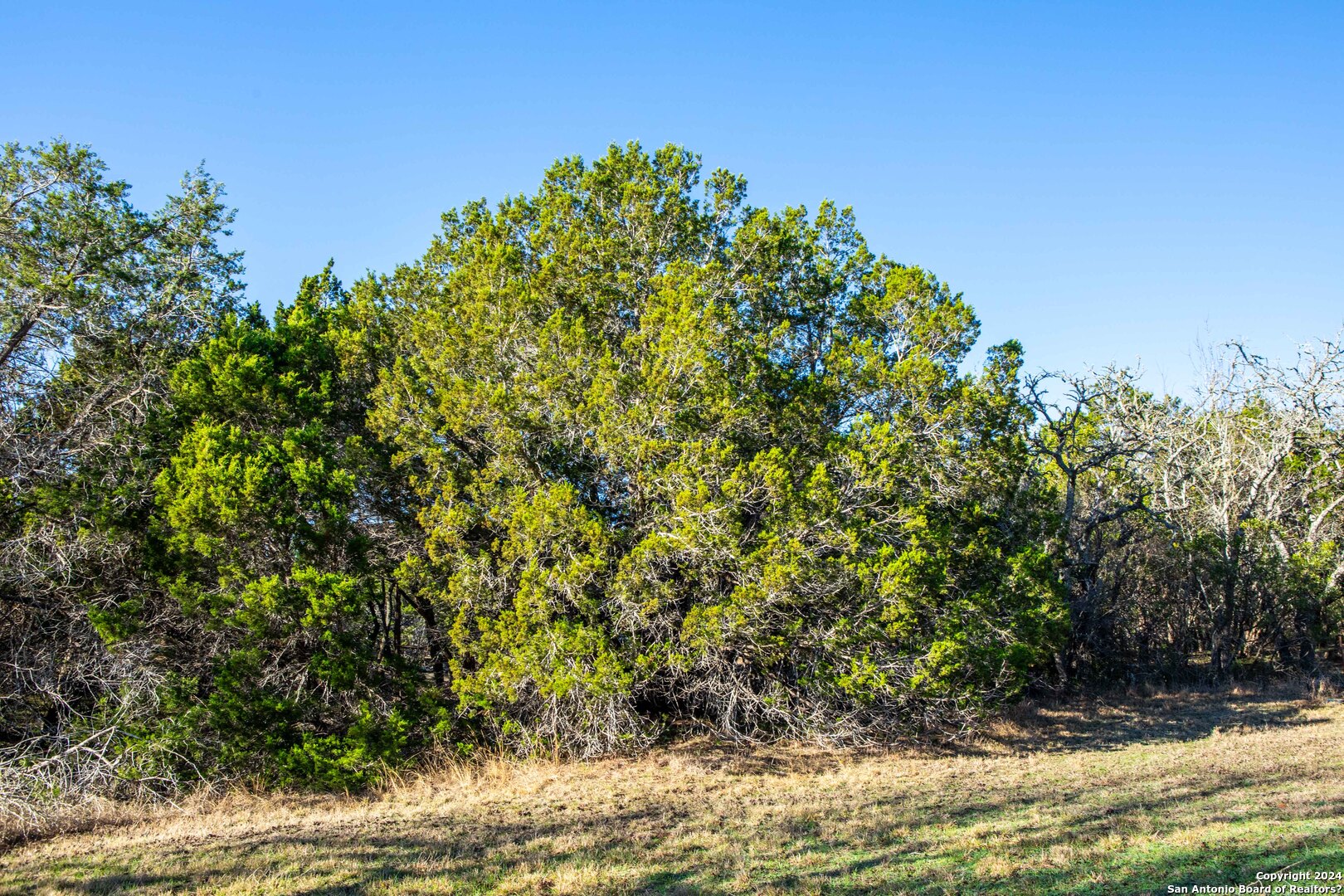 Tbd Hidden Valley Drive Pipe Creek TX 78063