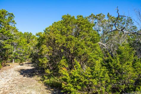 Tbd Hidden Valley Drive Pipe Creek TX 78063