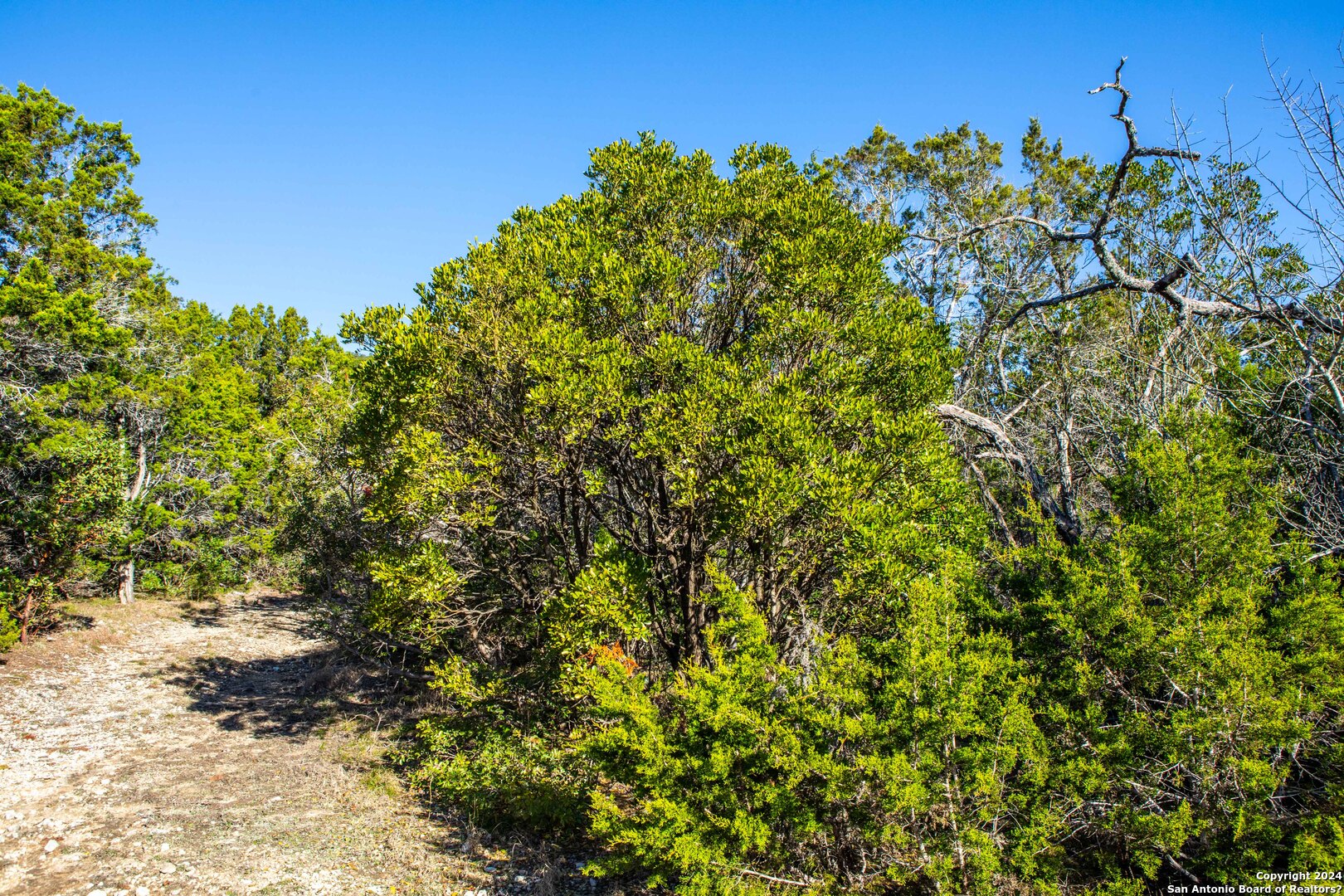 Tbd Hidden Valley Drive Pipe Creek TX 78063