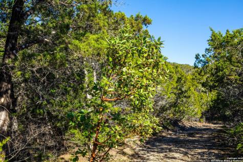 Tbd Hidden Valley Drive Pipe Creek TX 78063