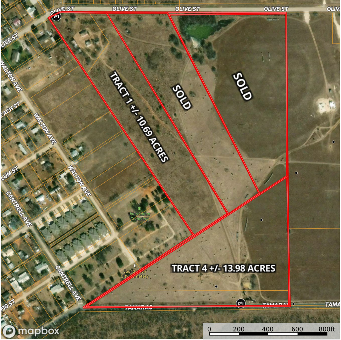 +/- 10.69 Acres Olive Street Jourdanton TX 78026