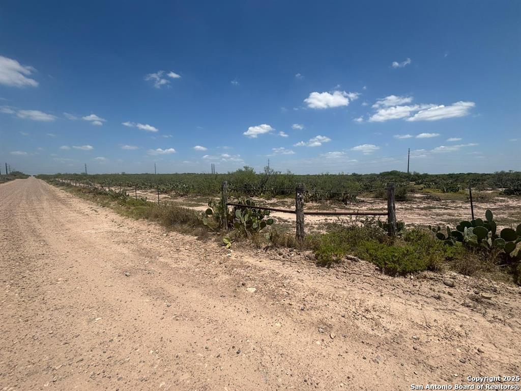 34 Acres Mangana Hein Laredo TX 78046