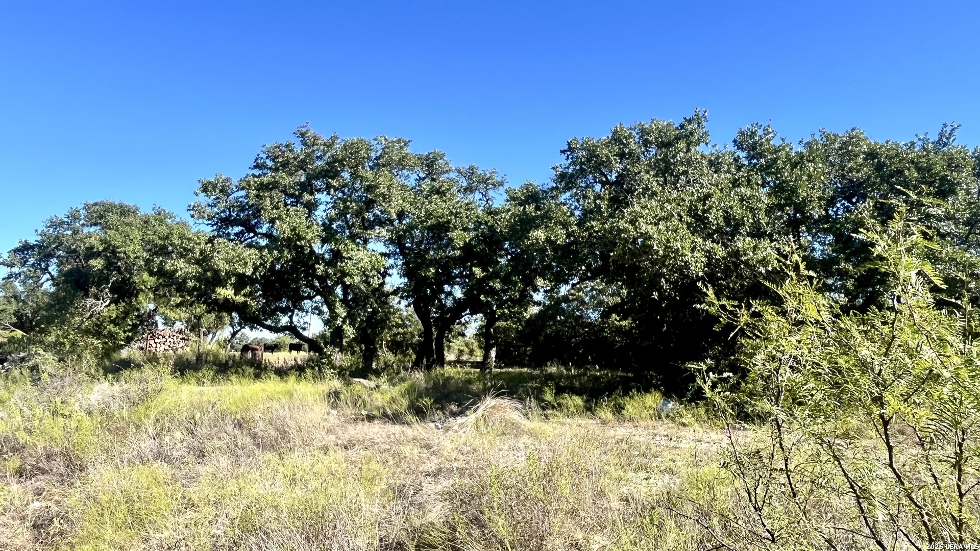 2801 Heritage Drive Brady TX 76858