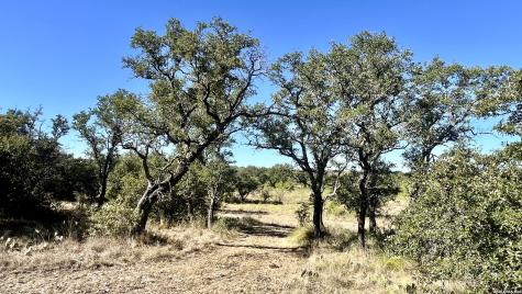 2801 Heritage Drive Brady TX 76858