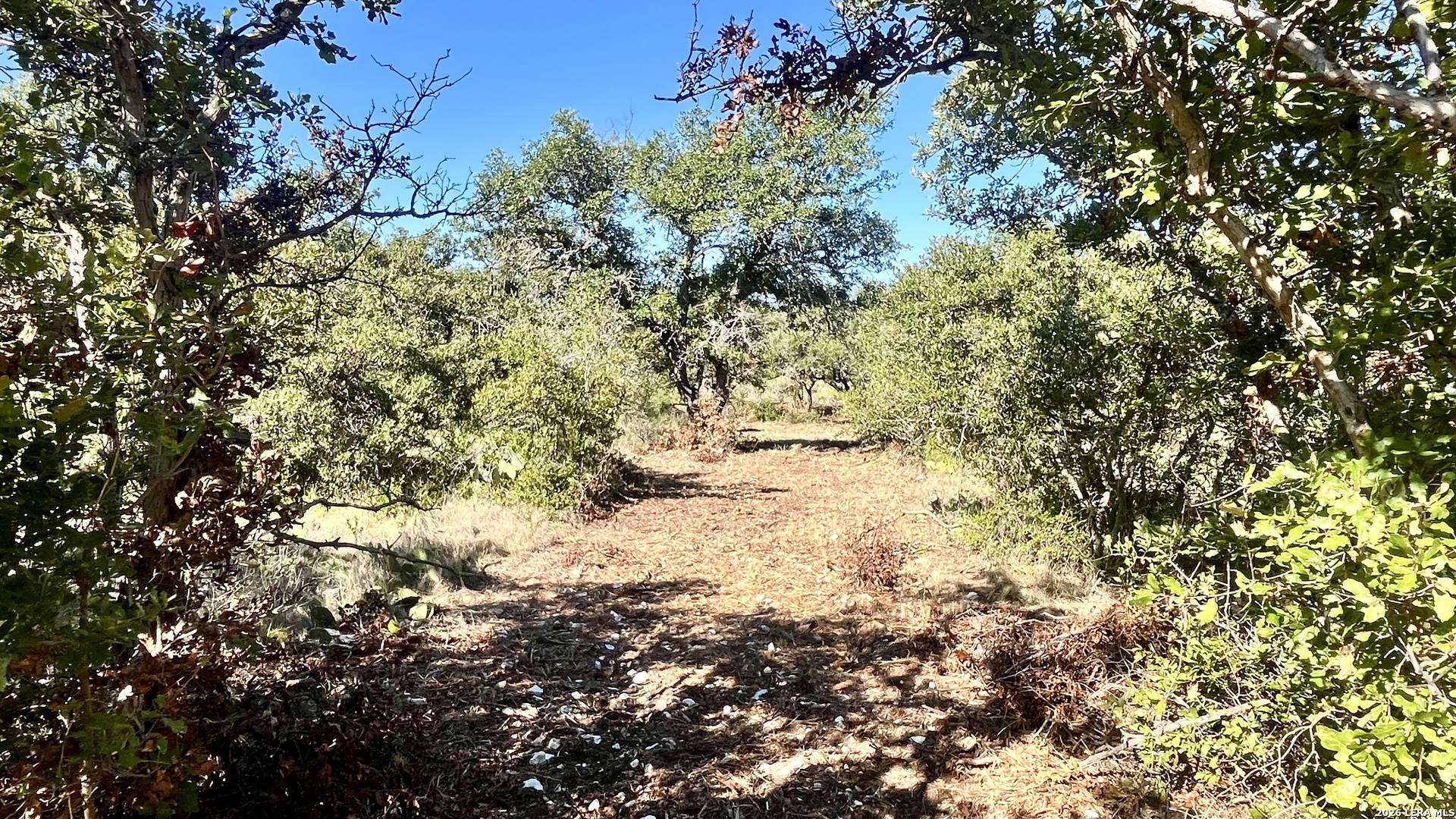 2801 Heritage Drive Brady TX 76858