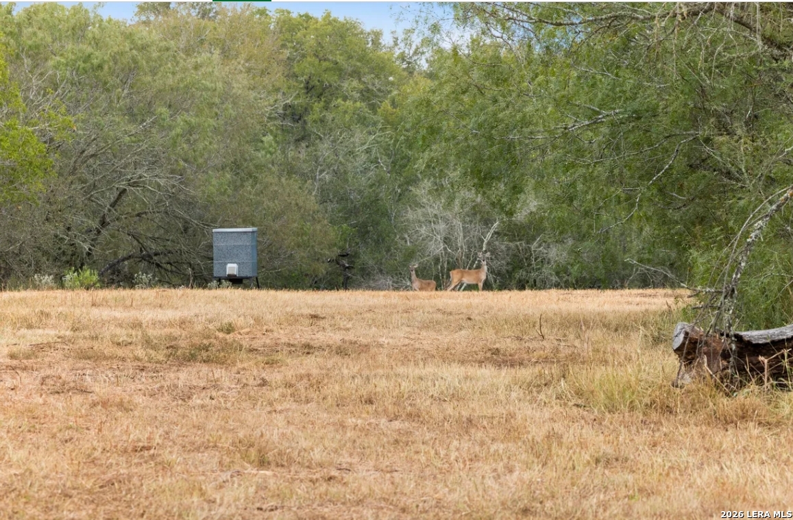 000 Cr 171 Nixon TX 78140
