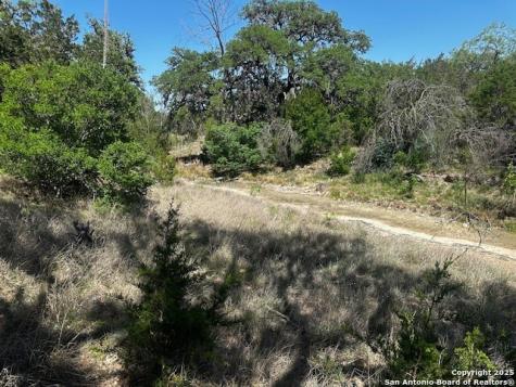 698 N Kahn Rio Frio TX 78879