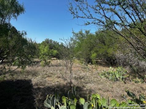 698 N Kahn Rio Frio TX 78879