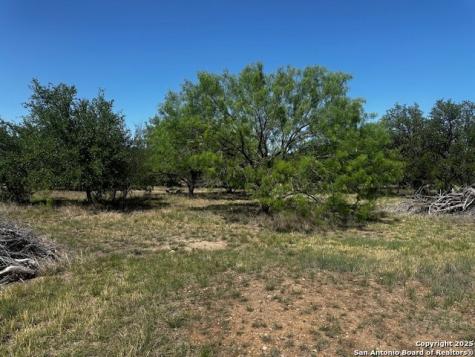 698 N Kahn Rio Frio TX 78879