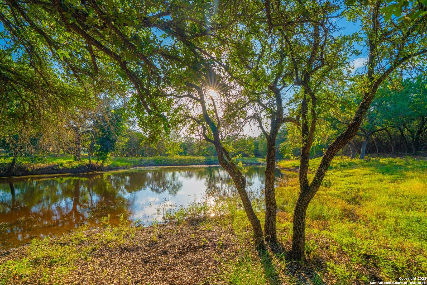 118 Majestic Oaks Drive Boerne TX 78006