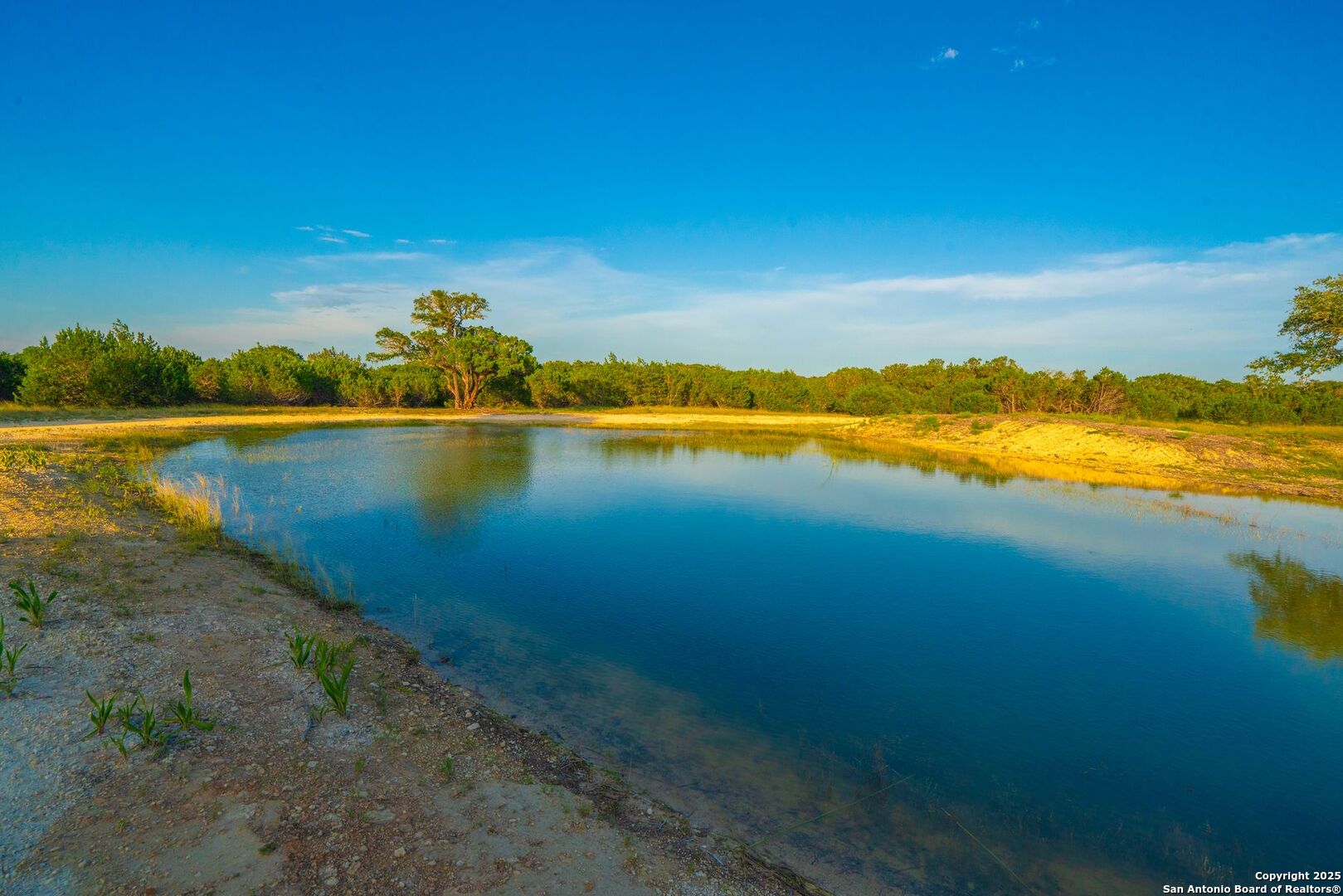 118 Majestic Oaks Drive Boerne TX 78006