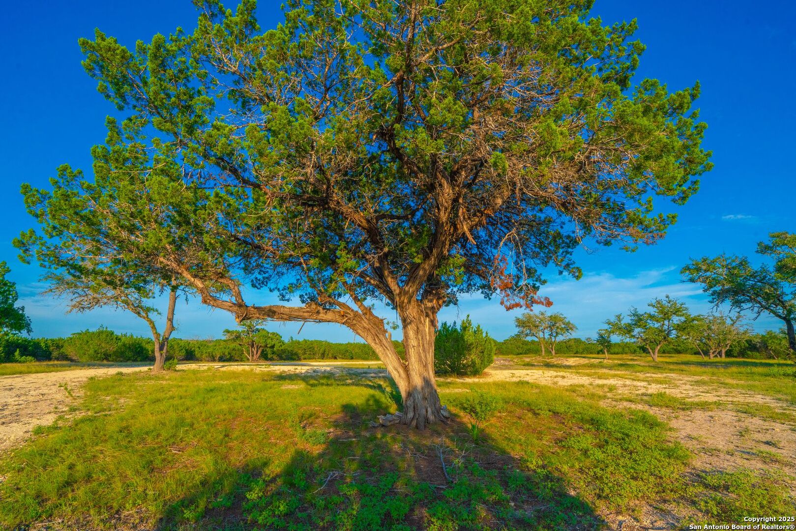 118 Majestic Oaks Drive Boerne TX 78006