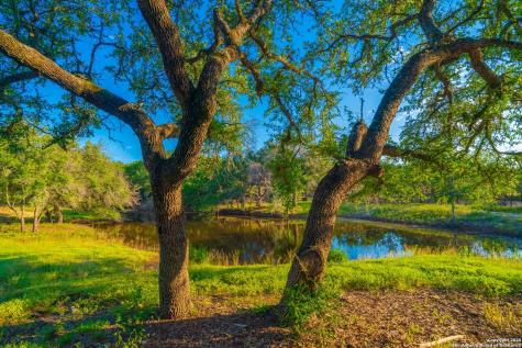118 Majestic Oaks Drive Boerne TX 78006