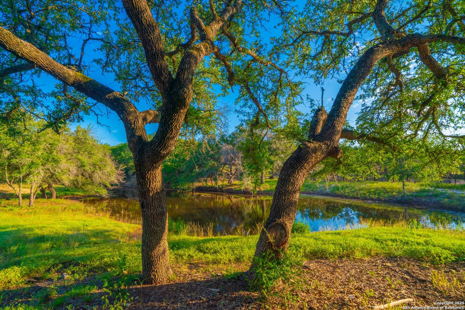 118 Majestic Oaks Drive Boerne TX 78006