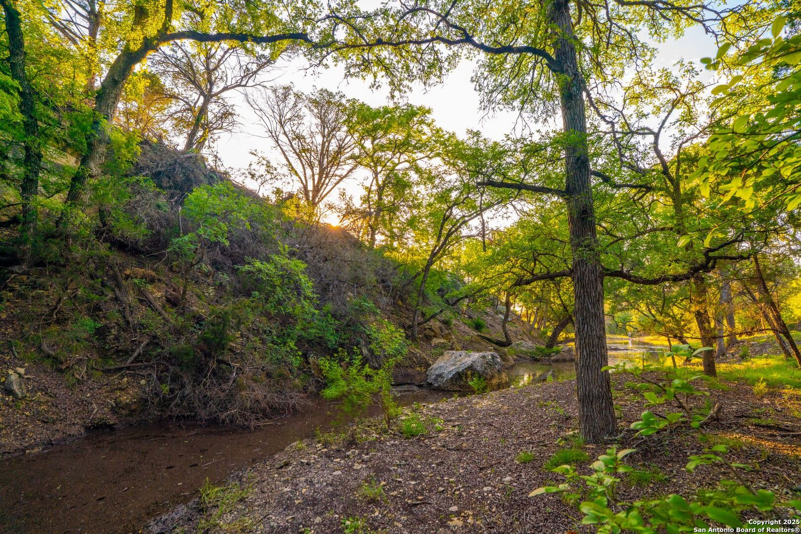118 Majestic Oaks Drive Boerne TX 78006