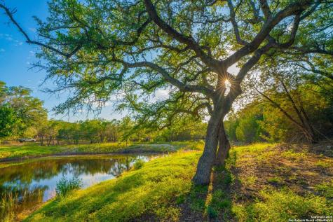 118 Majestic Oaks Drive Boerne TX 78006