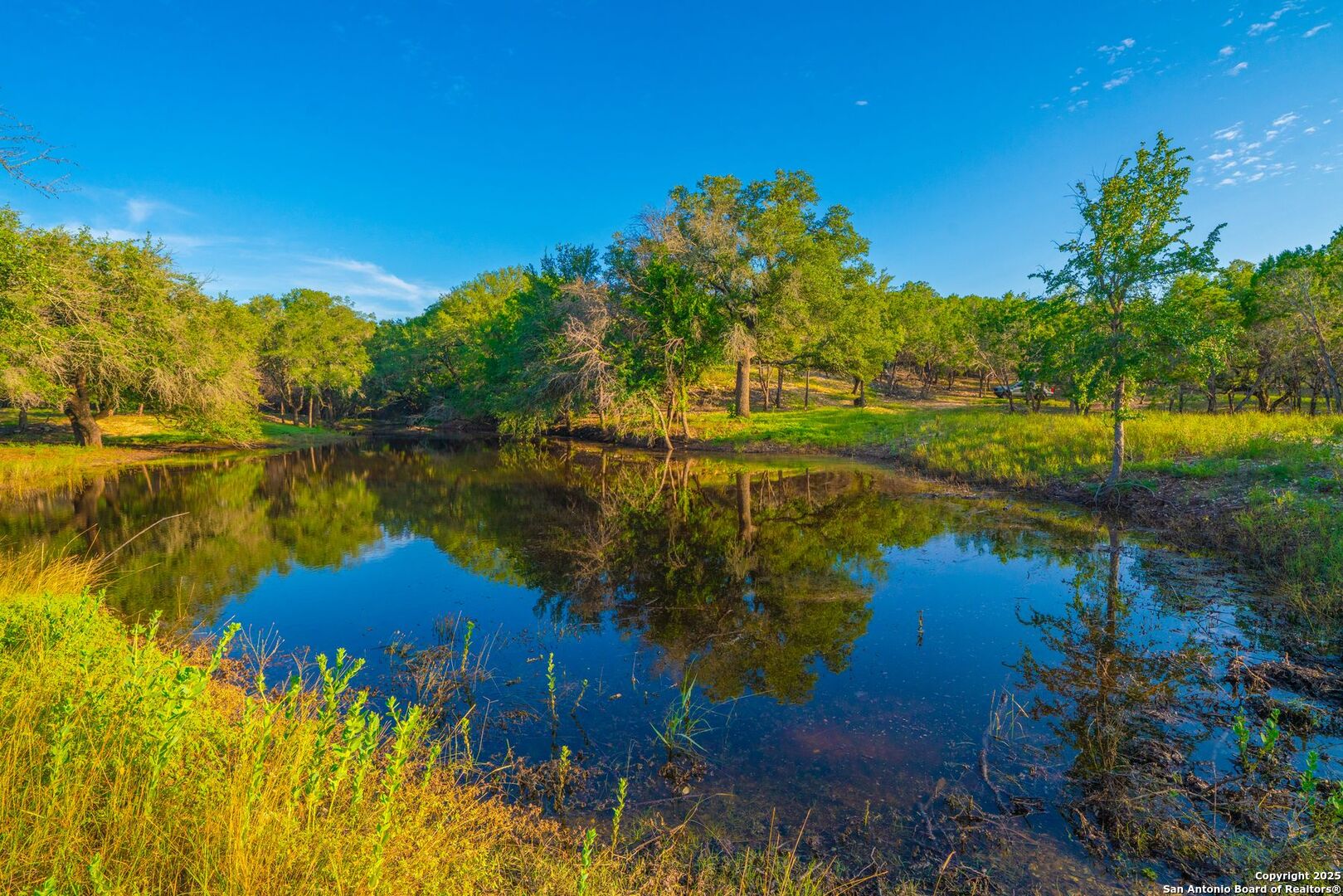 118 Majestic Oaks Drive Boerne TX 78006