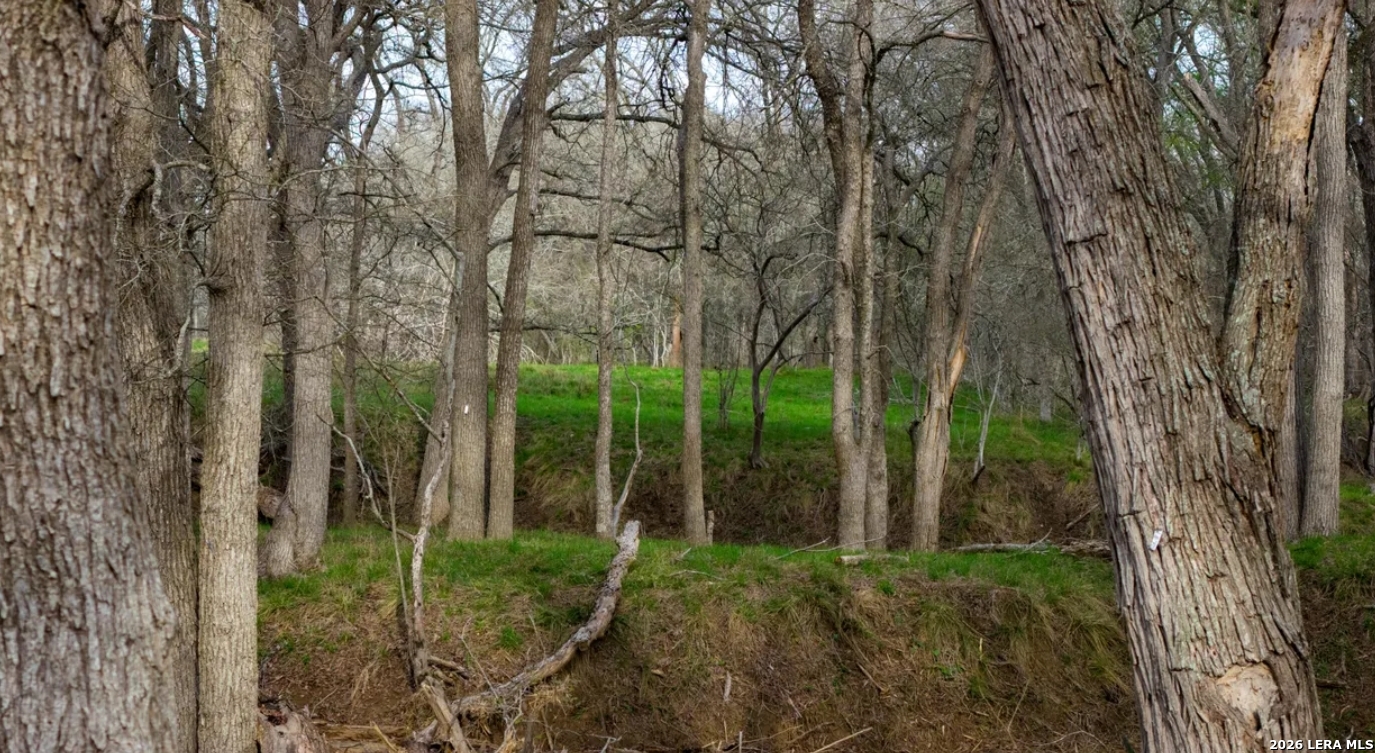 13775 Farm To Market Road 725 Seguin TX 78155