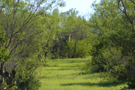 2349 Cr 416 Falls City TX 78113