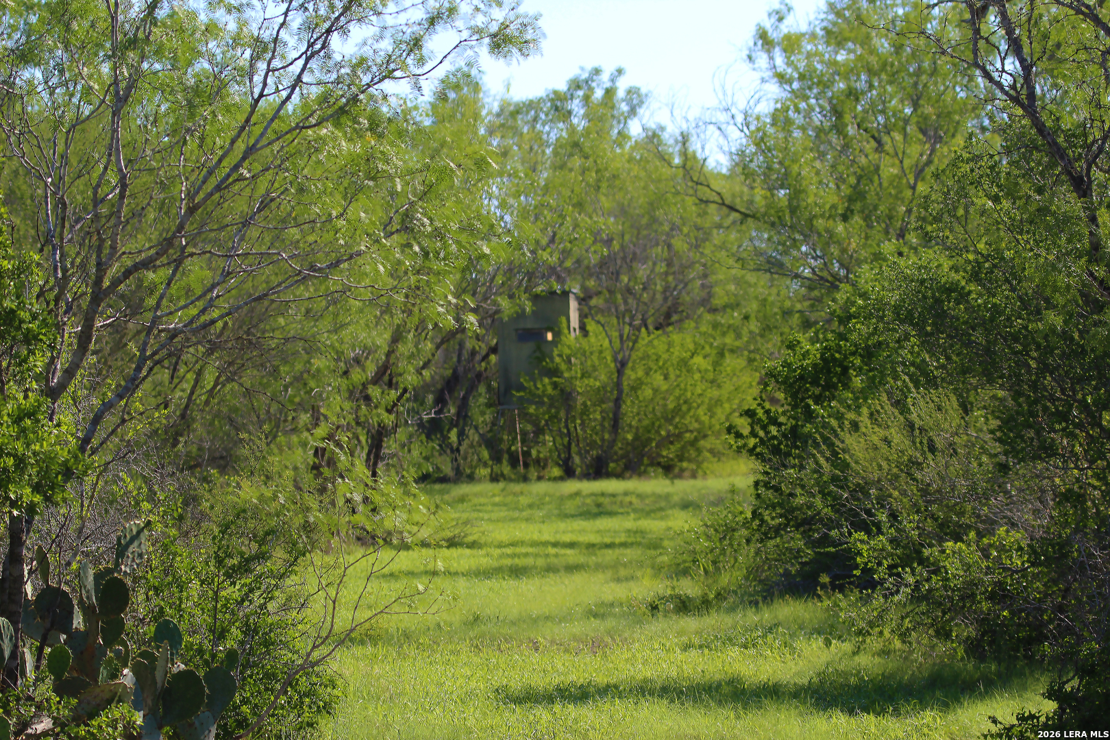 2349 Cr 416 Falls City TX 78113