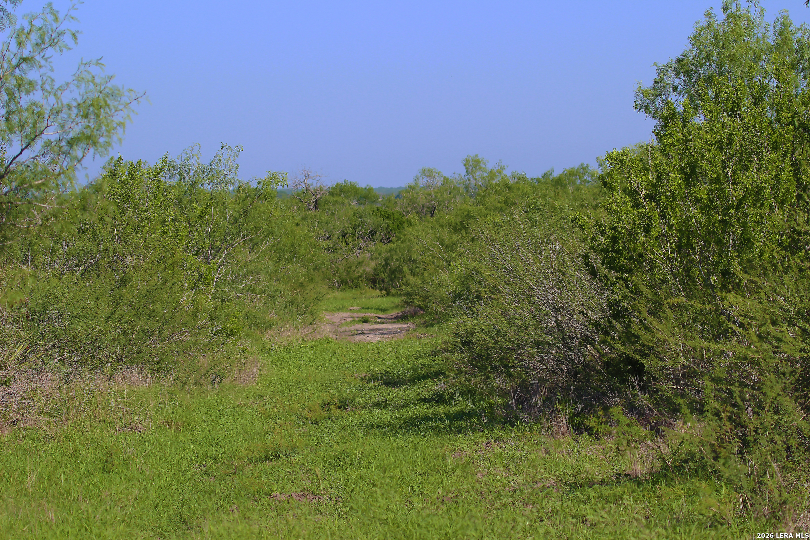 2349 Cr 416 Falls City TX 78113