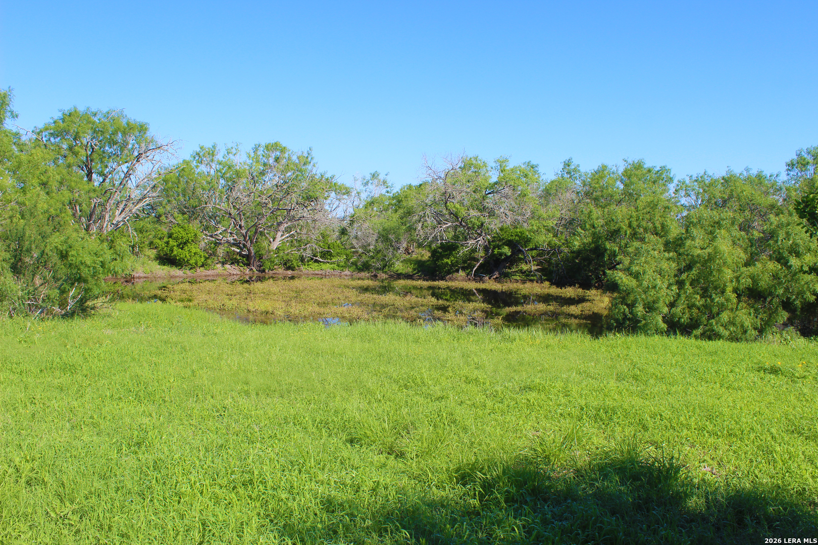 2349 Cr 416 Falls City TX 78113