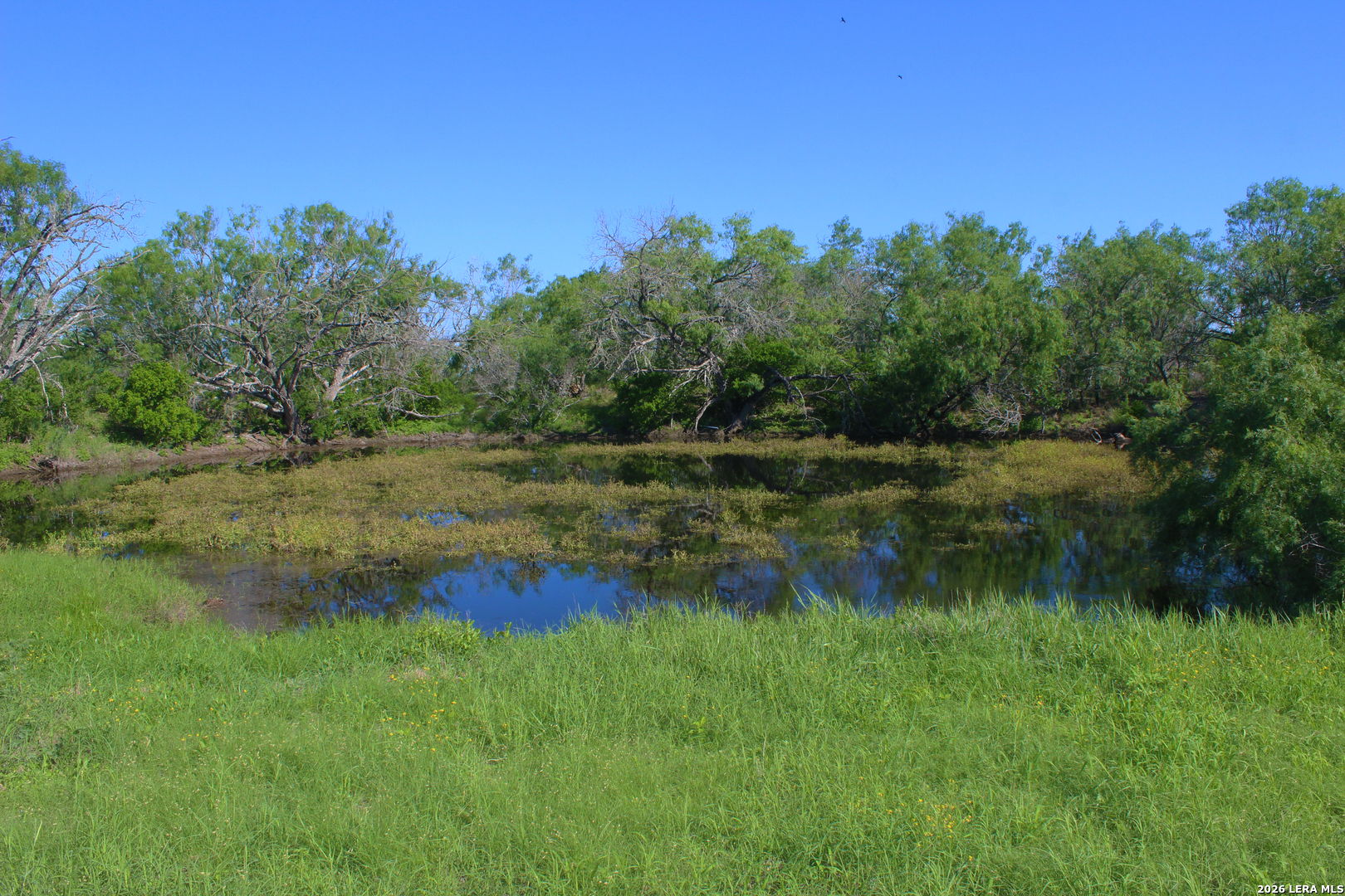 2349 Cr 416 Falls City TX 78113