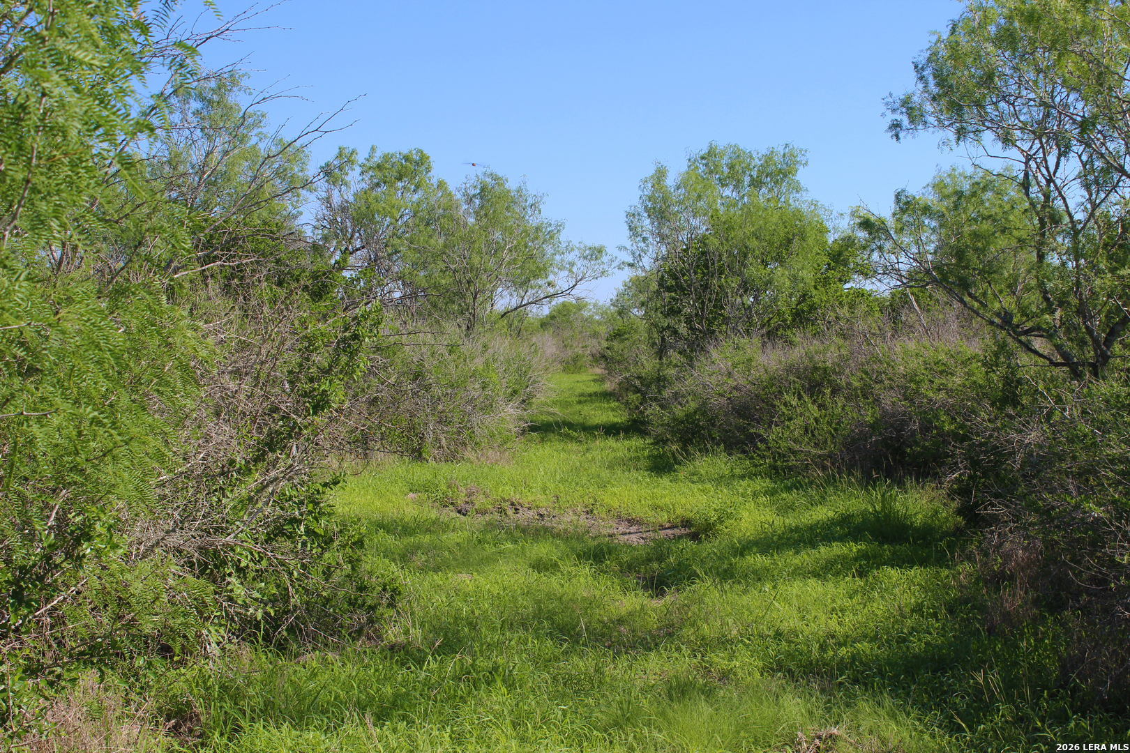 2349 Cr 416 Falls City TX 78113