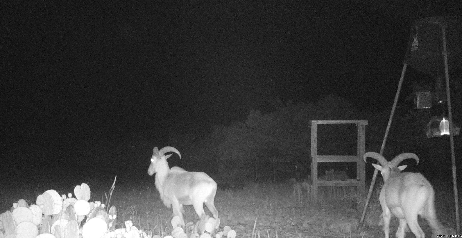 195 Sd 45190 Tx Rocksprings TX 78880