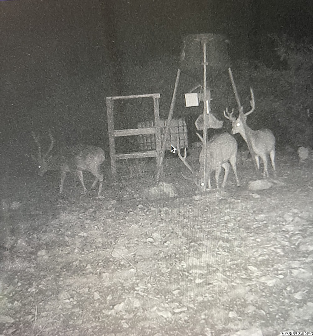 195 Sd 45190 Tx Rocksprings TX 78880