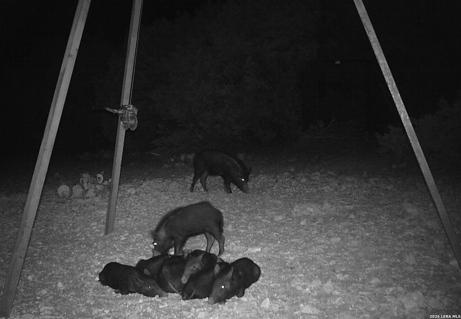 195 Sd 45190 Tx Rocksprings TX 78880
