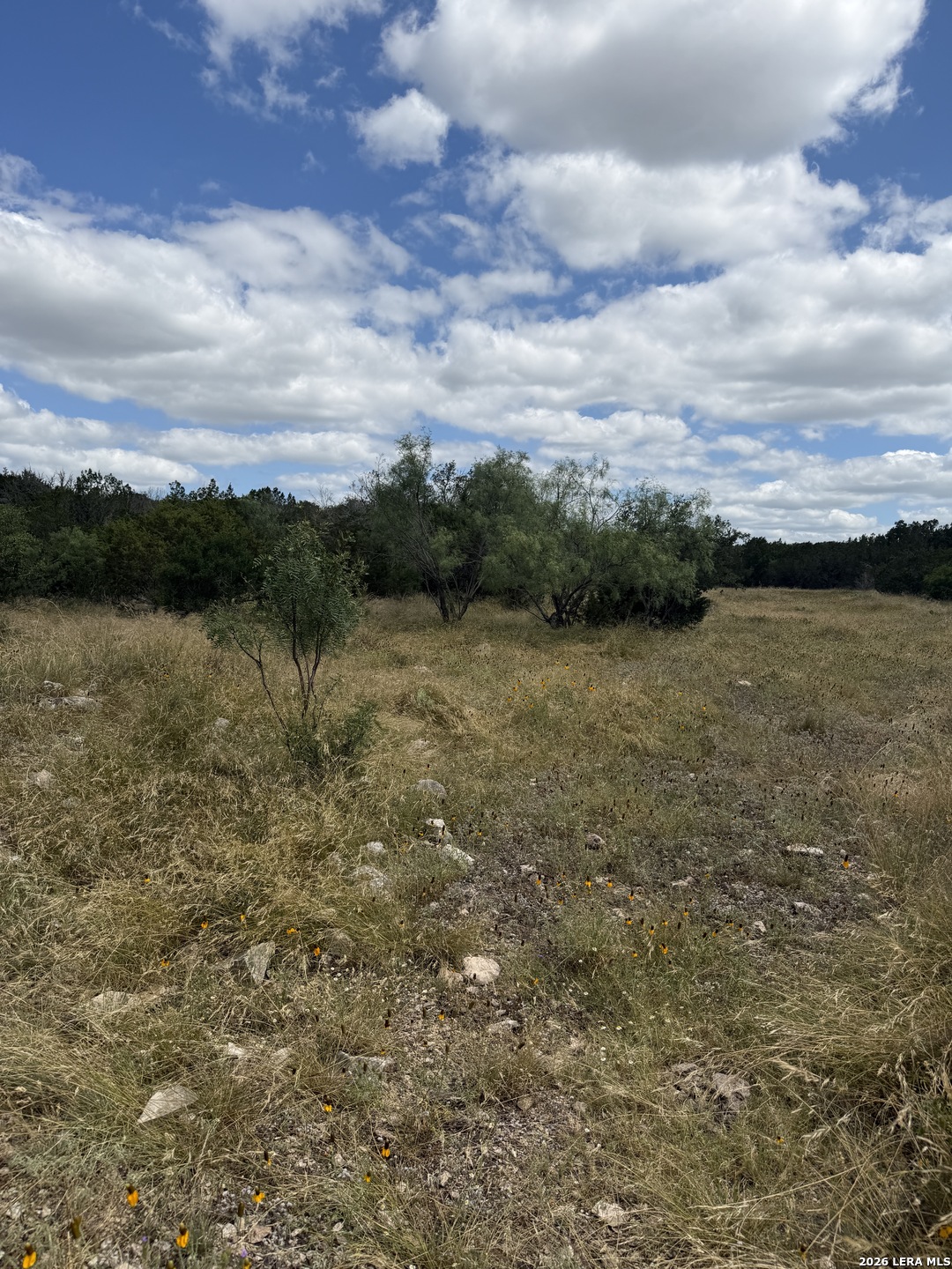 195 Sd 45190 Tx Rocksprings TX 78880
