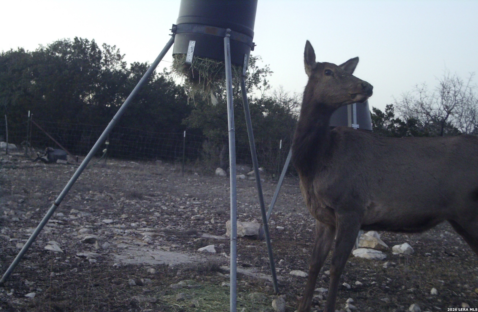 195 Sd 45190 Tx Rocksprings TX 78880