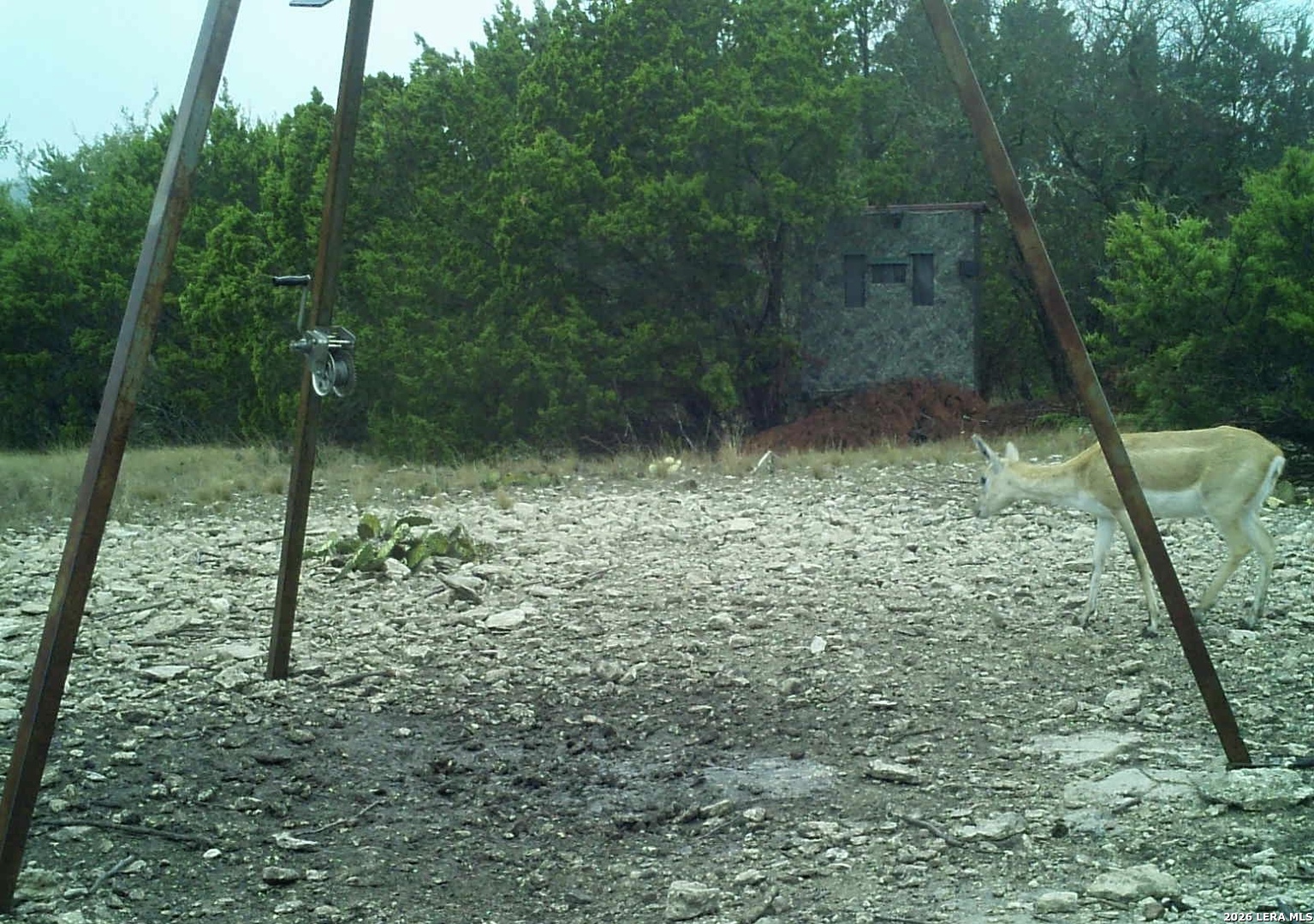 195 Sd 45190 Tx Rocksprings TX 78880