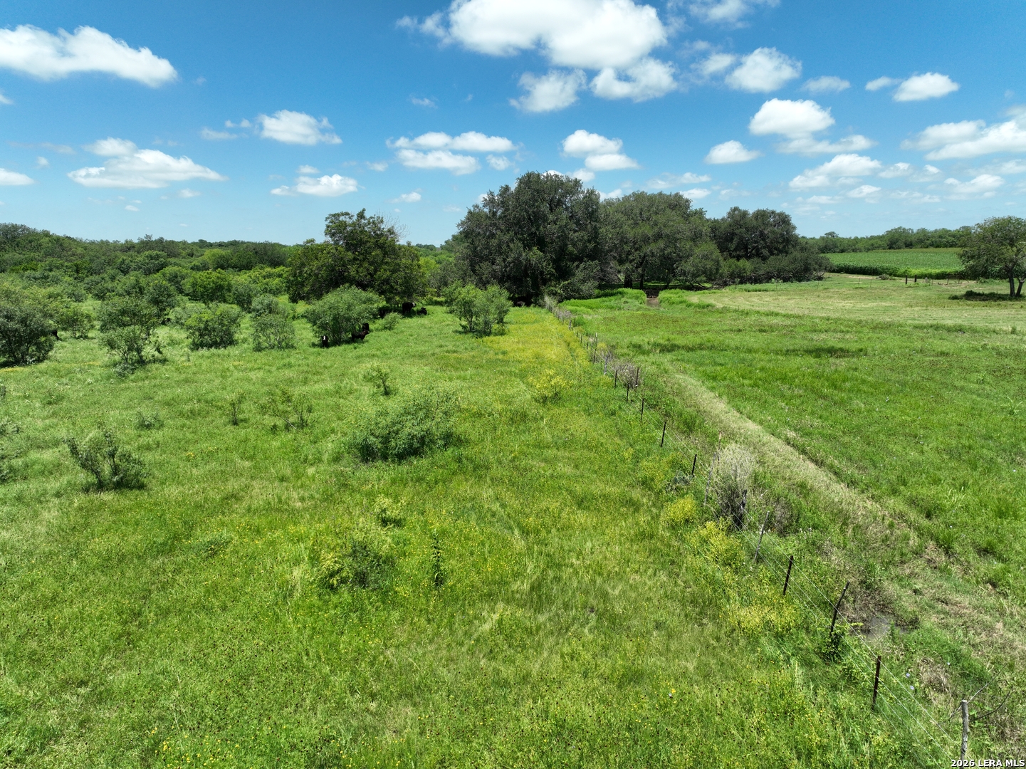 13407 Fm 1346 St.hedwig TX 78152