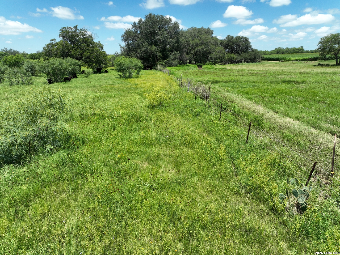13407 Fm 1346 St.hedwig TX 78152