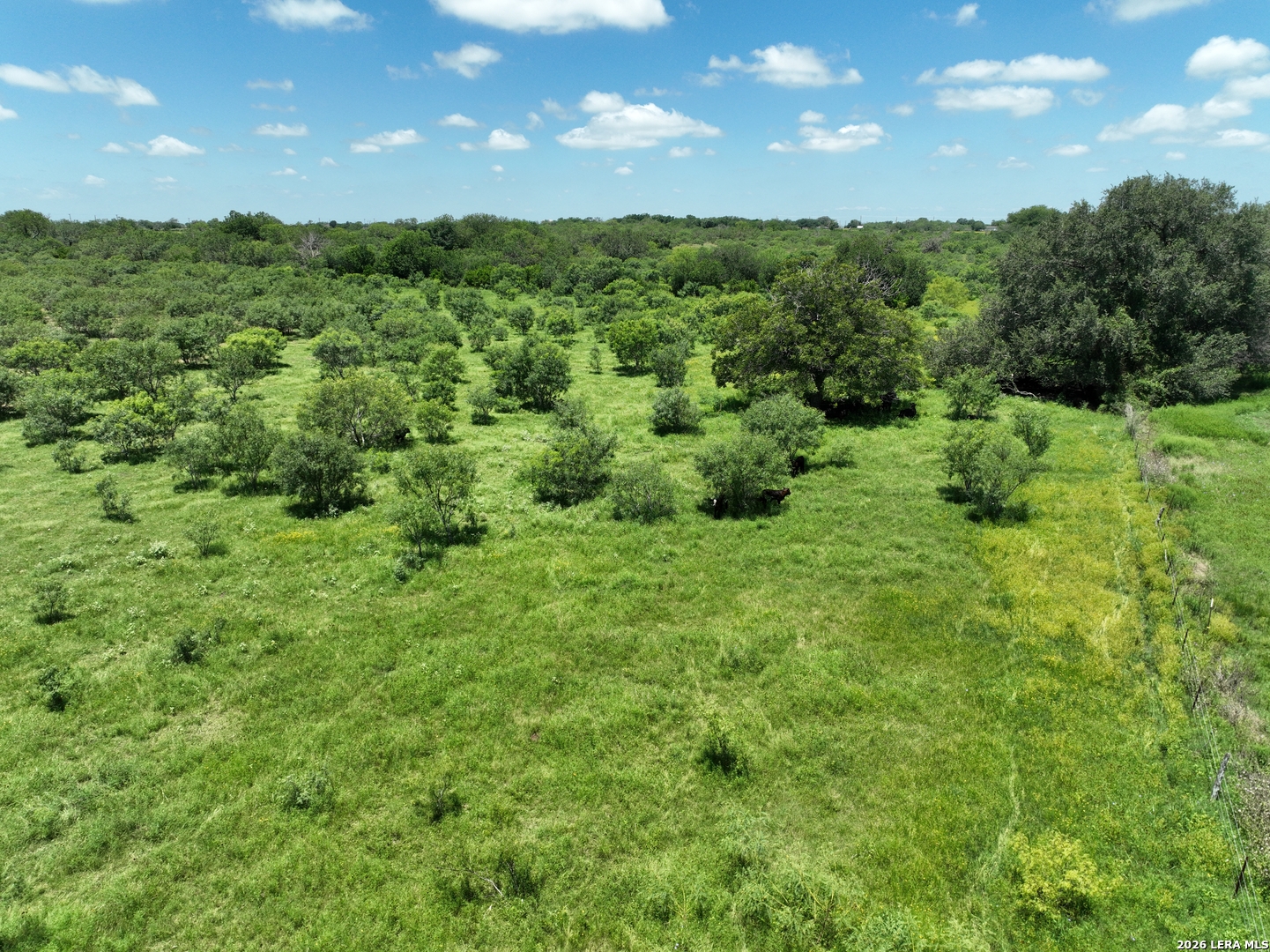 13407 Fm 1346 St.hedwig TX 78152