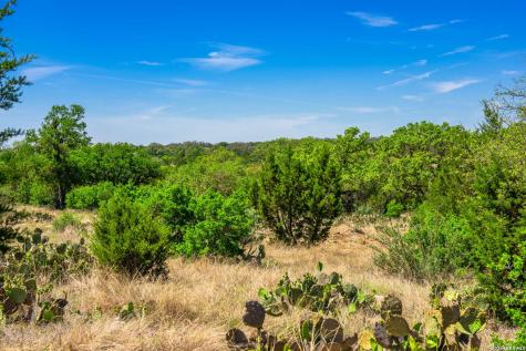 853 Elm Ridge Road Fredericksburg TX 78624