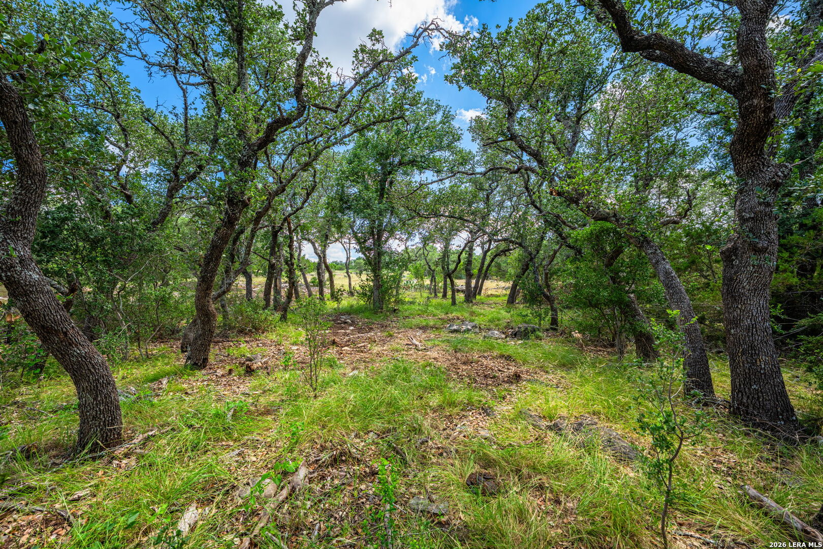 853 Elm Ridge Road Fredericksburg TX 78624