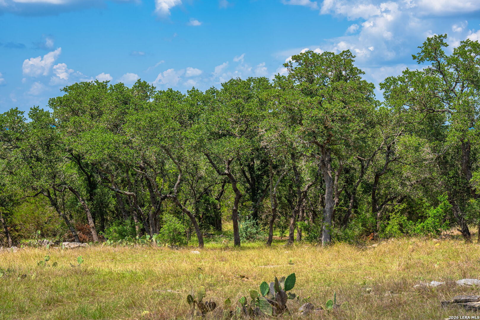 853 Elm Ridge Road Fredericksburg TX 78624