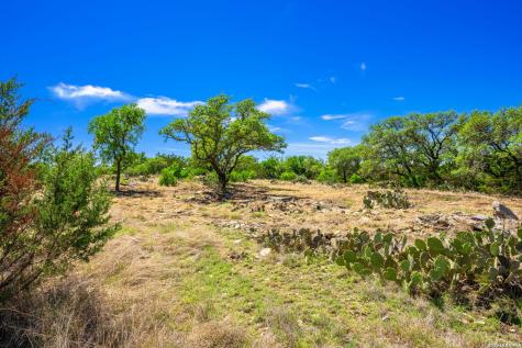 853 Elm Ridge Road Fredericksburg TX 78624