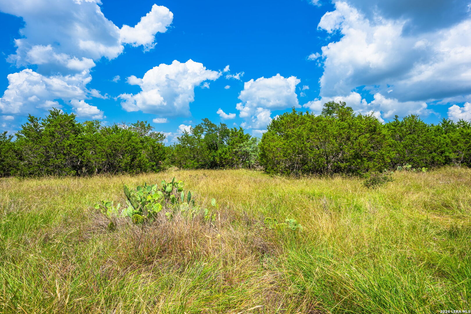 853 Elm Ridge Road Fredericksburg TX 78624